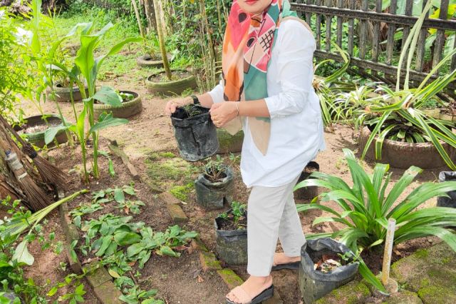 DWP UP SEKRETARIAT DPRD ASAHAN: RAGAM TANAMAN TOGA YANG MUDAH UNTUK DIBUDIDAYAKAN